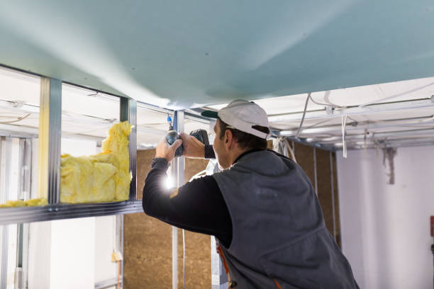 Best Garage Insulation Installation  in Gaffney, SC