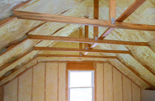 Best Wall Insulation Contractor  in Gaffney, SC