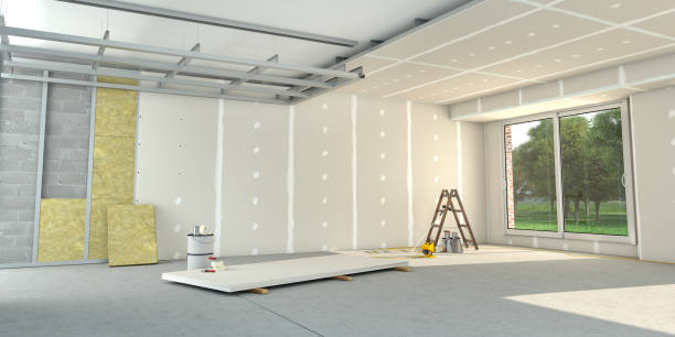 Best Insulation Removal  in Gaffney, SC