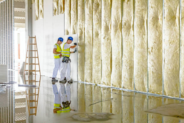 Best Professional Insulation Contractor  in Gaffney, SC